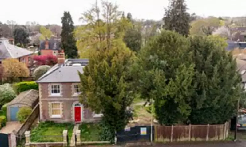 Developer's Bid to Fell Protected Yew Trees Sparks Neighbourhood Fury in Winchester