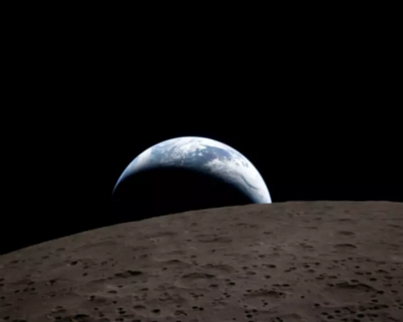 Digested Week: Needohs Knox and the Far Side of the Moon