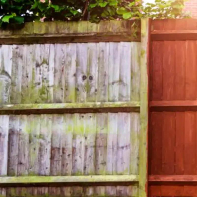 DIY Influencer's Sponge Hack Transforms Fence Painting, Eliminates Brushes