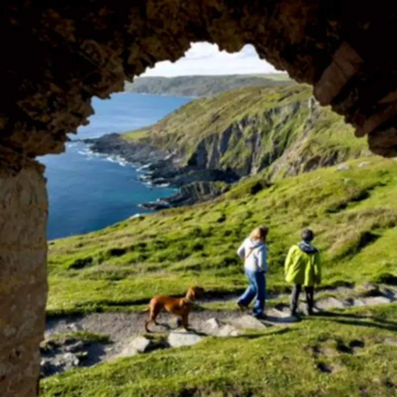 Dog-Friendly UK Destinations: How Pets Shape Holiday Choices