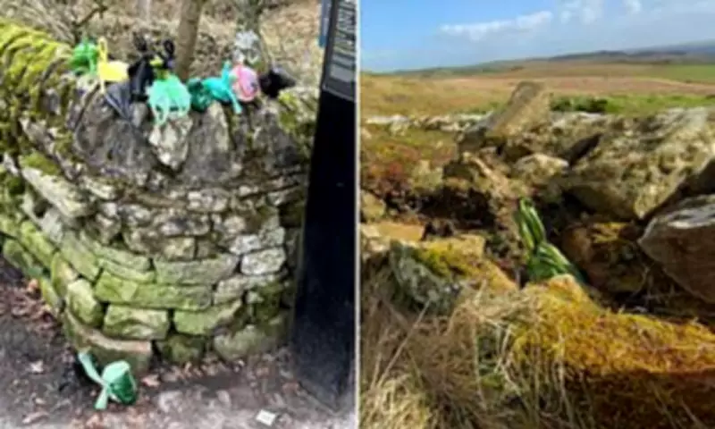 Dog Waste Bags Desecrate Ancient Hadrian's Wall, Sparking Outrage