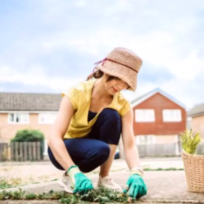 Don't Throw Away Weeds: Gardener Reveals Surprising Money-Saving Benefit