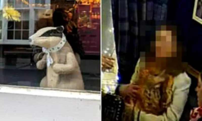 Dorset Pub's 35-Year Mascot Stolen by 'Badger Bandit' in Bizarre Theft