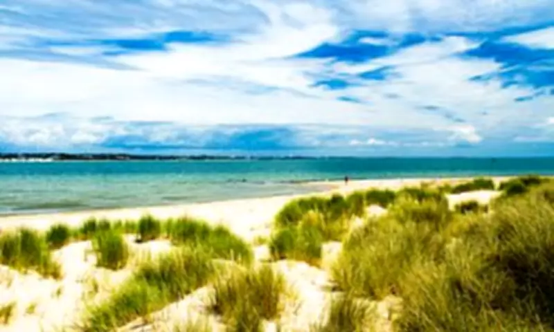 Dorset's Studland Bay: The Jurassic Coast's Hidden Paradise Revealed