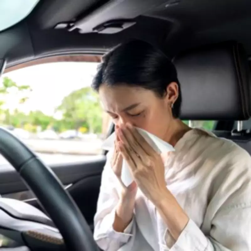 Drivers Urged to Use Car Button for Hay Fever Relief Amid High Pollen Warnings