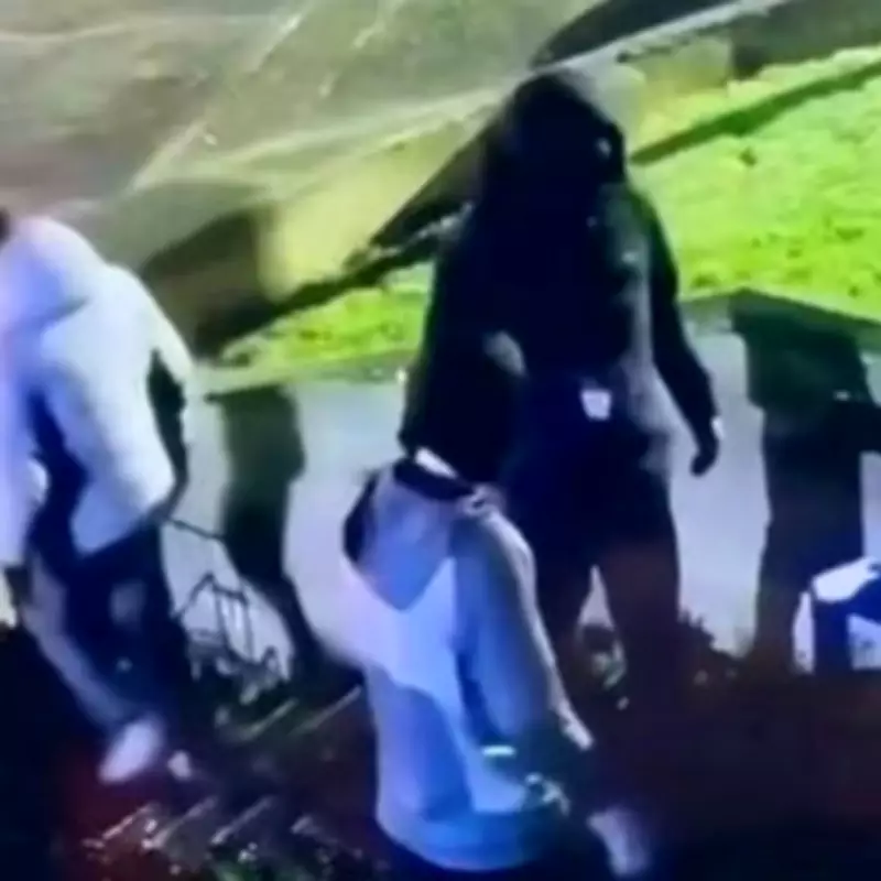 Dublin Teen Gang Hunted for £87K Heist and Dog Drugging Spree