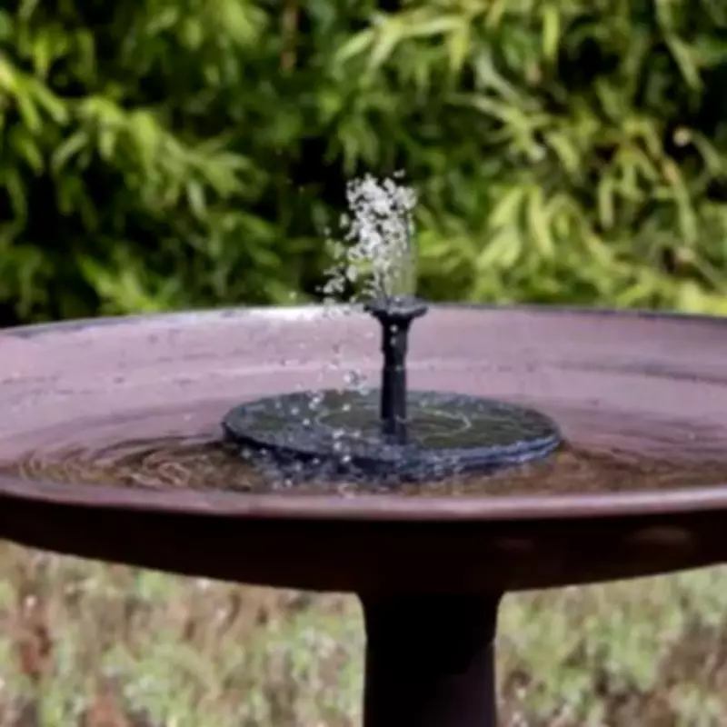 Dunelm's £14 Solar Bird Bath Creates Spring Wildlife Haven in Your Garden