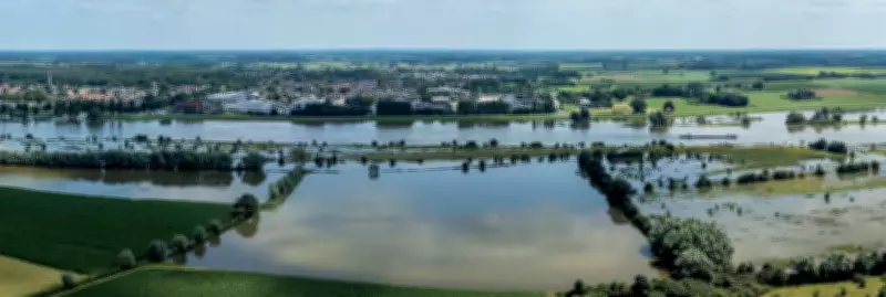 Dutch Rain Fences Combat Flooding and Drought in Climate Adaptation Push