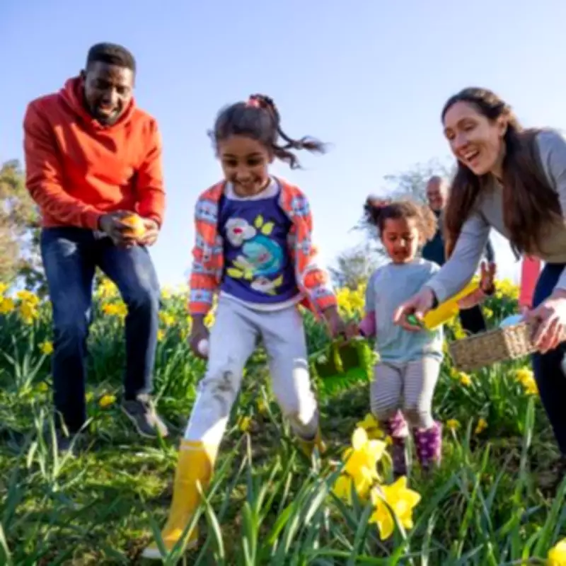 Easter Chocolate Prices Soar 15 Times Faster Than Inflation Rate