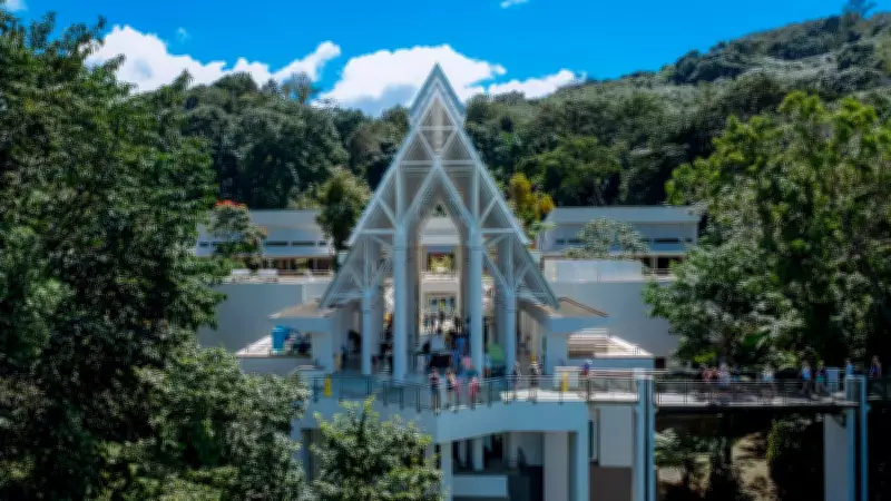 El Yunque Rainforest in Puerto Rico: A Visual Journey Through Nature's Splendour