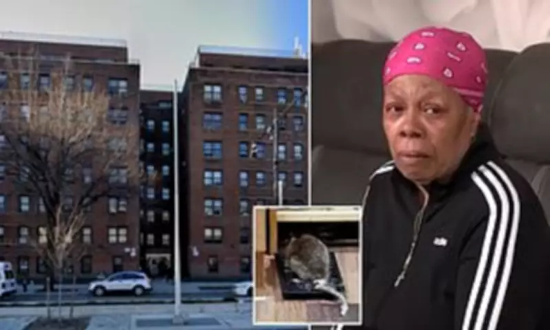 Elderly Cancer Survivor's Rat-Infested Bronx Apartment Nightmare