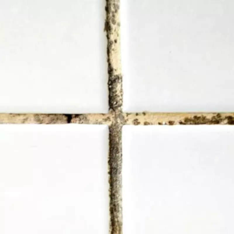 Eliminate Black Mould from Grout in 10 Minutes with Baking Soda