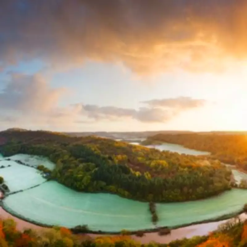 England's Ancient Forest of Dean: Hollywood's Secret UK Filming Location