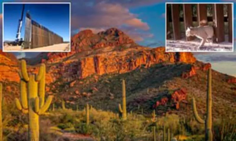 Environmental Fury as New Border Wall Threatens National Parks and Wildlife