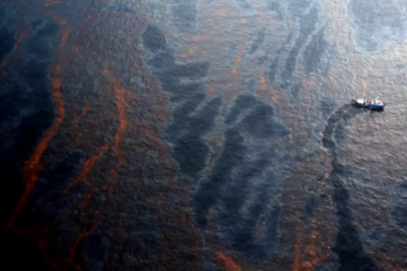 Environmental Groups Sue US Government Over BP's New Gulf of Mexico Drilling Project