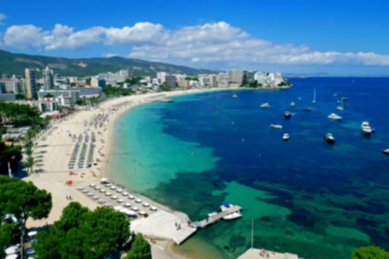 EU Energy Chief Warns Summer Holidays Face Cancellations Amid Jet Fuel Crisis