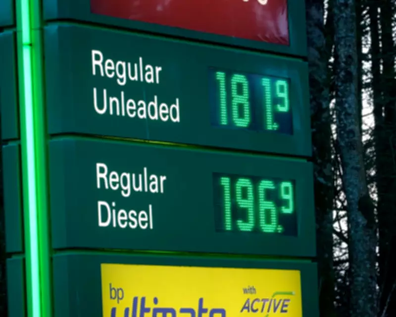 European Markets Plunge as Trump's Iran Speech Fuels Economic Catastrophe Fears