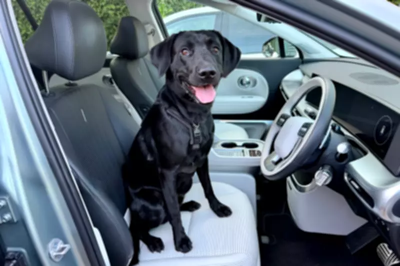 EV Dog Warning: Heat Risks During Charging Stops