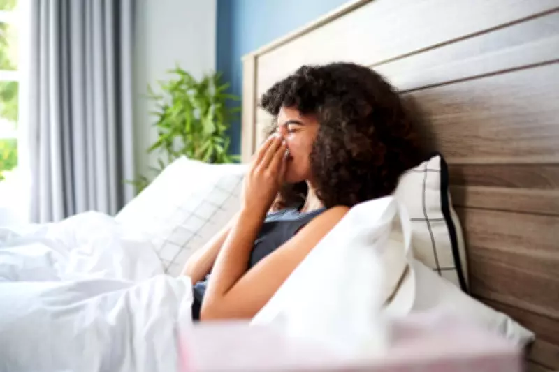 Expert Advice: How to Prevent Hay Fever from Disrupting Your Sleep