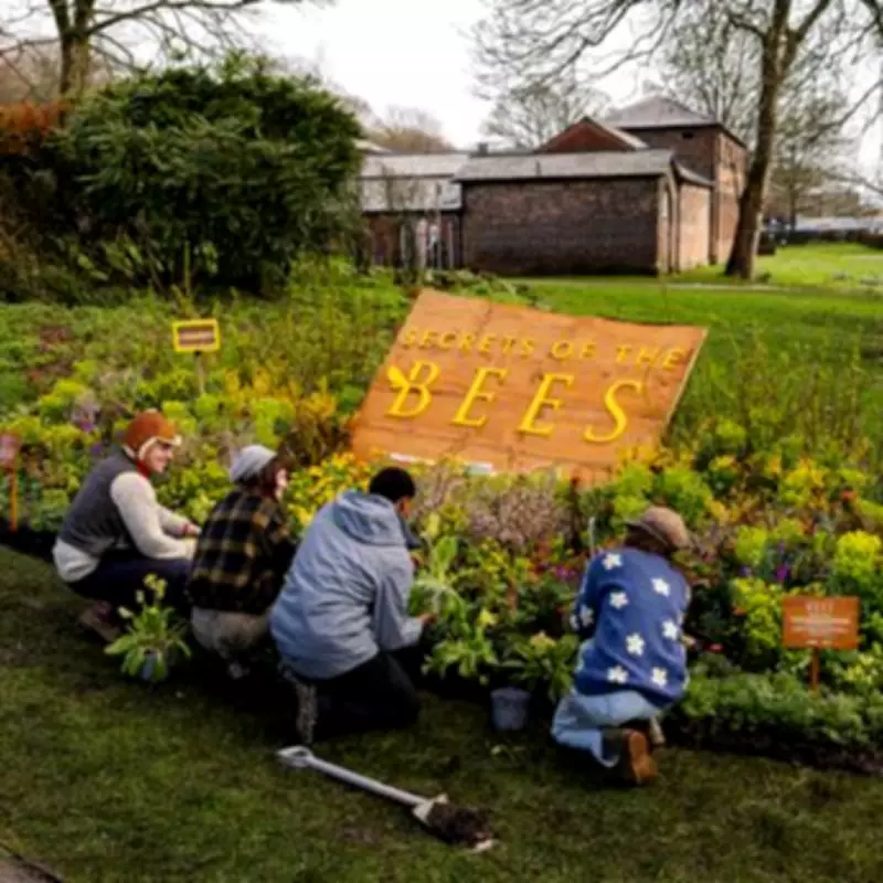 Expert Biologist Reveals Five Simple Steps to Create a Bee-Friendly Garden in the UK