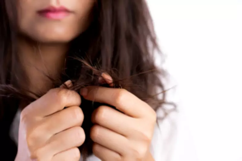 Expert Guide: Best Treatments for Dry Hair Revealed