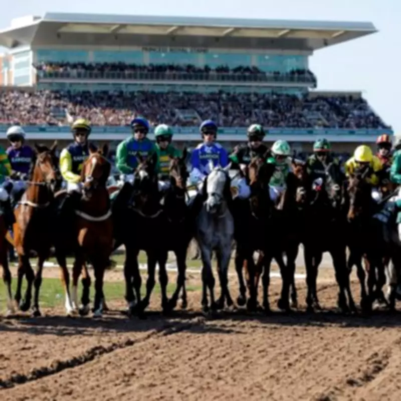 Expert Predicts Patrick Mullins to Win Grand National on New Mount