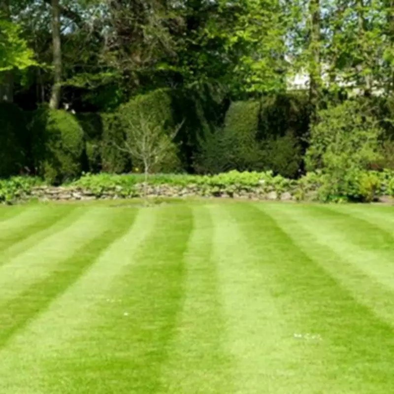 Expert Reveals One Simple Spring Task for a Luscious Summer Lawn