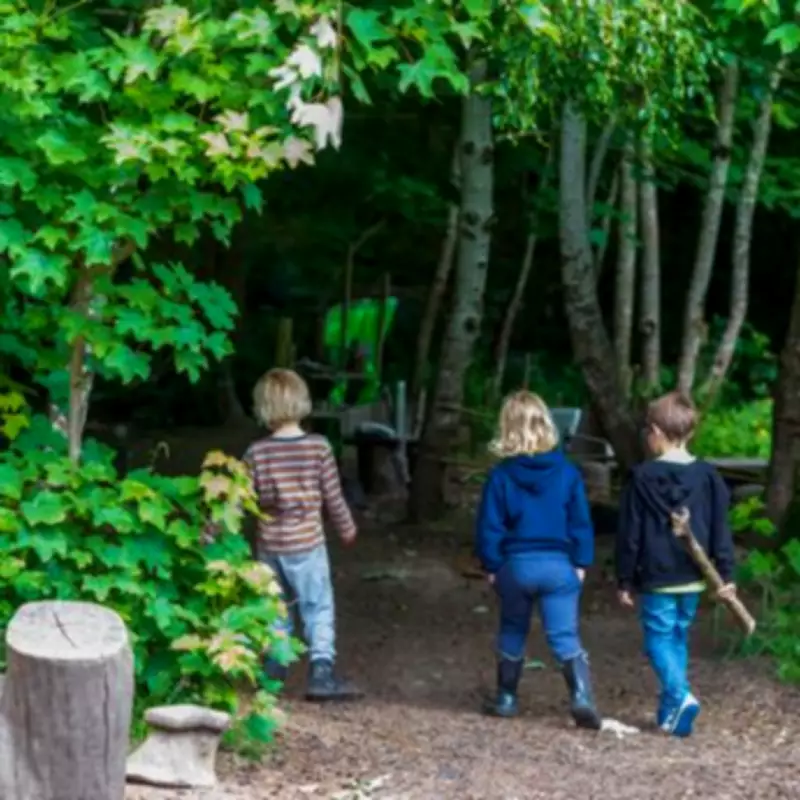 Expert Reveals Playdates Are Key to Making Children 'School-Ready'