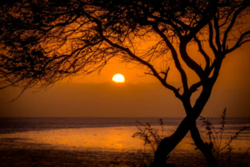 Expert Travel Tips: How to Save Money on Summer Holidays This Year