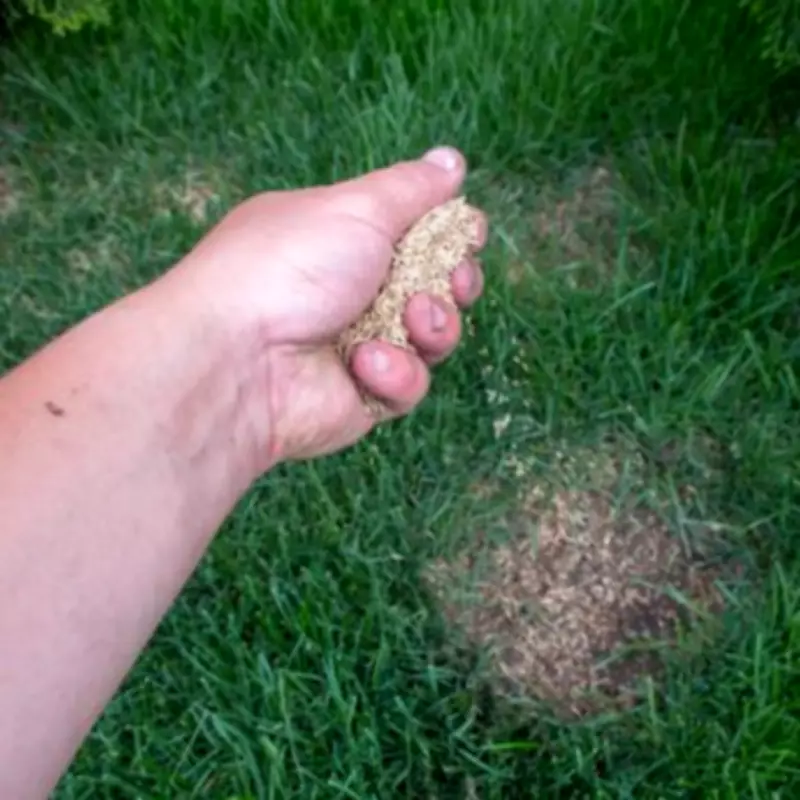 Experts Reveal One Simple April Task for Greener, Moss-Free Lawns