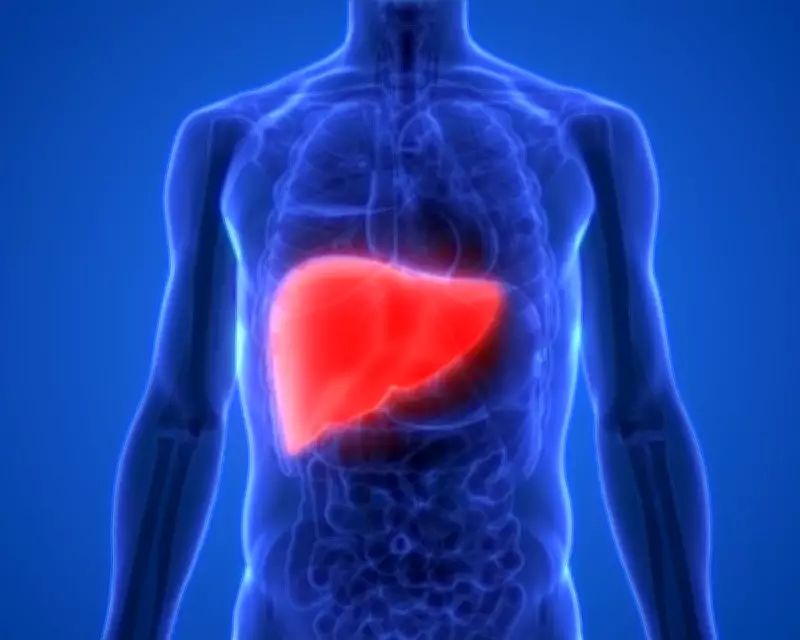 Experts Urge Higher Taxes on Alcohol and Junk Food to Combat Liver Disease in Europe