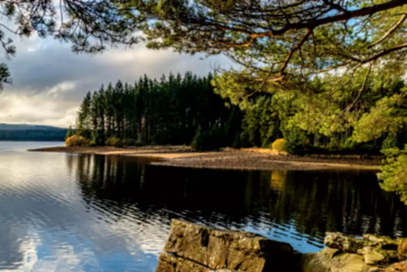 Exploring Kielder Forest: England's Vast Centenary Wilderness