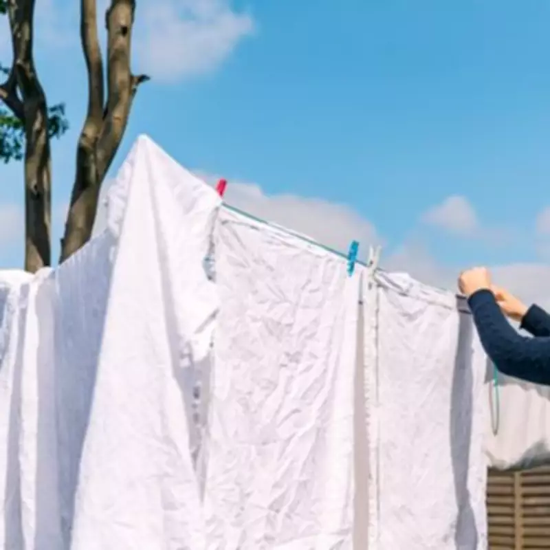 Extend Clothing Lifespan with Steam Ironing: A Simple Laundry Hack