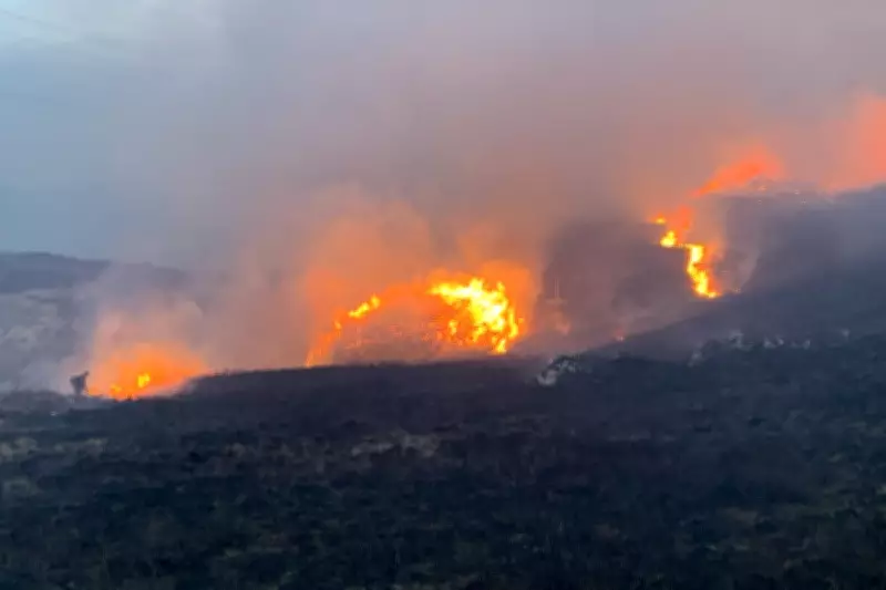 Extreme Wildfire Risk Alert Issued for Parts of UK This Weekend