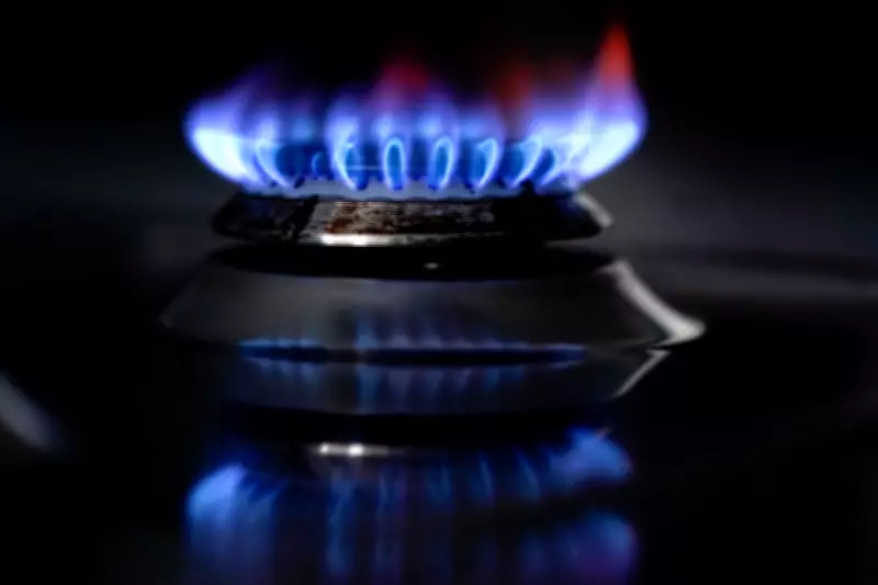 Fact Check: US Is UK's Third Largest Source of Natural Gas