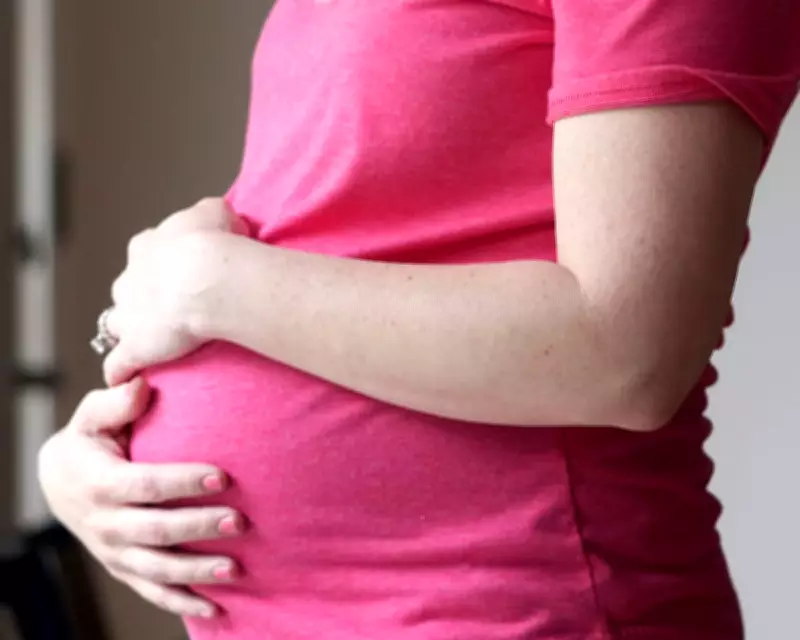 Falling Fertility Rates Linked to Economy and Smartphones, Not Biology