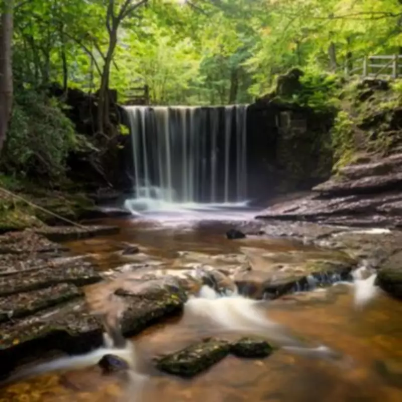 Family Discovers Enchanting Woodland Walk with Waterfalls and Bluebells