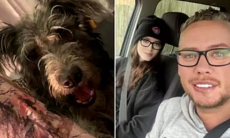 Family Dog Described as 'Softest' Pet Kills 19-Year-Old Owner in Essex