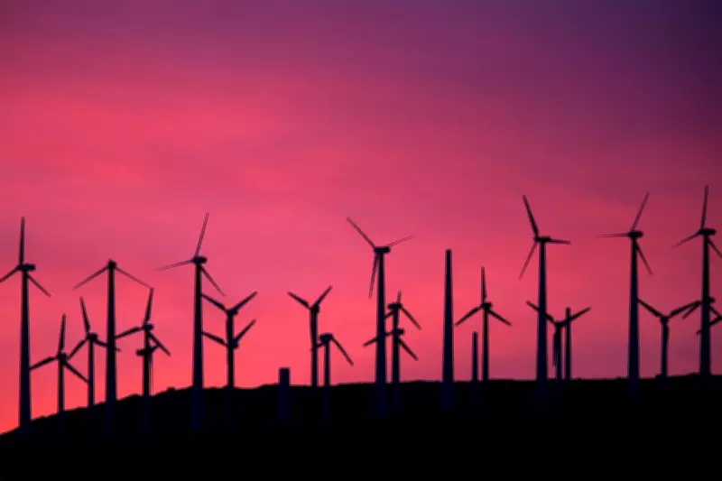 Federal Judge Blocks Trump Administration Restrictions on Wind and Solar Projects