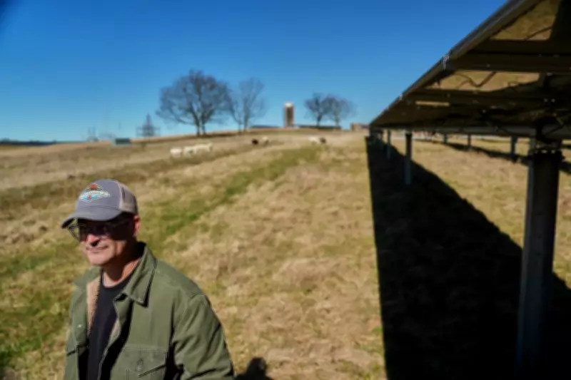 Federal Renewable Energy Support for Farmers Gutted Under Trump Administration
