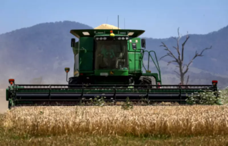 Fertiliser Shortage in Australia Threatens Global Bread Prices