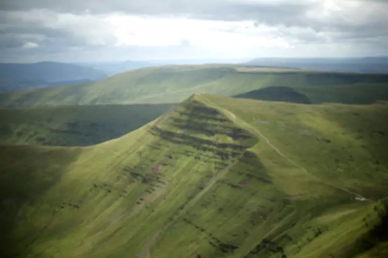 Festival Urine Transformed into Fertiliser for Welsh Forest Project