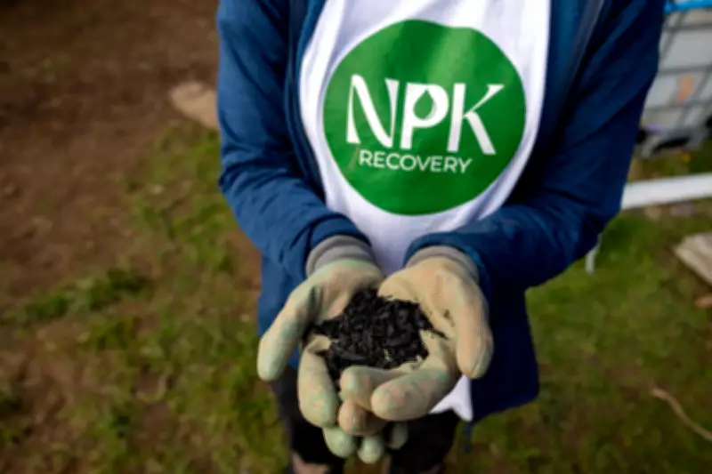 Festival Urine Transformed into Fertiliser to Grow Welsh Forest