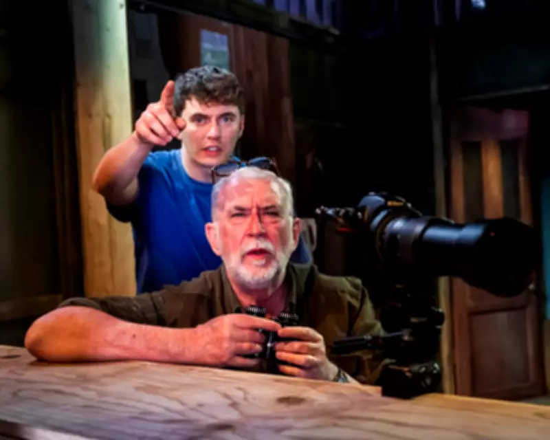 Firewing Review: Bird Hide Drama Blends Humour and Fascination