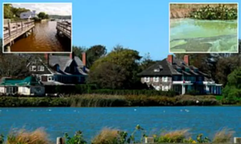 Flesh-Eating Bacteria Detected in Hamptons Waters, Experts Warn