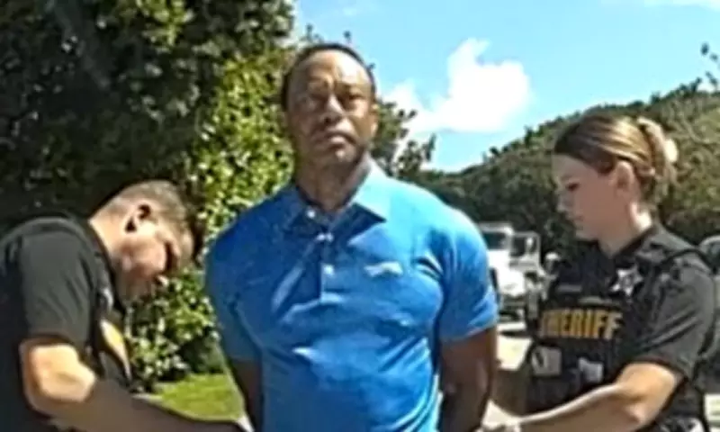 Florida Prosecutors Seek Tiger Woods' Medical Records in DUI Case