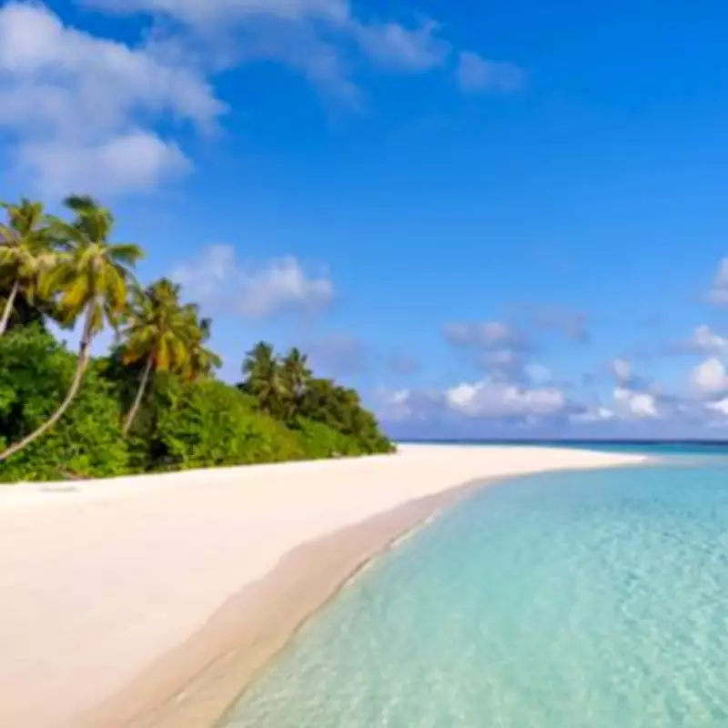 Foreign Office Issues Urgent Maldives Warning After Eight British Deaths