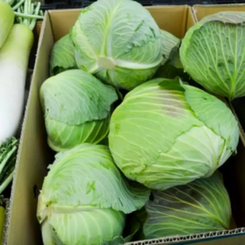 Forget Boiling: The Braised Cabbage Method That Unlocks Sweetness