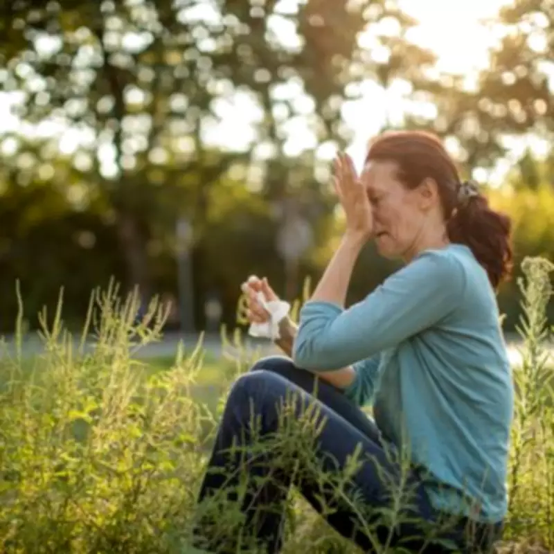 Four Invasive Weeds Threaten UK Gardens: Asthma and Property Damage Risks