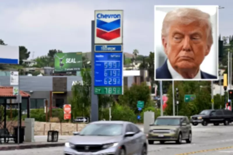 Fox Host Interrupts Trump Adviser's Bid to Blame Biden for Gas Price Surge Amid Iran Conflict